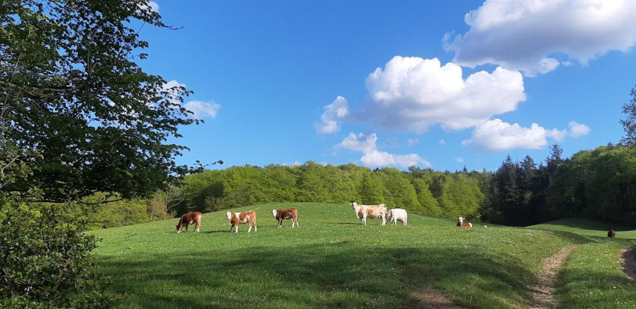 Ferienhaus Diedrichsen Brekendorf Dış mekan fotoğraf