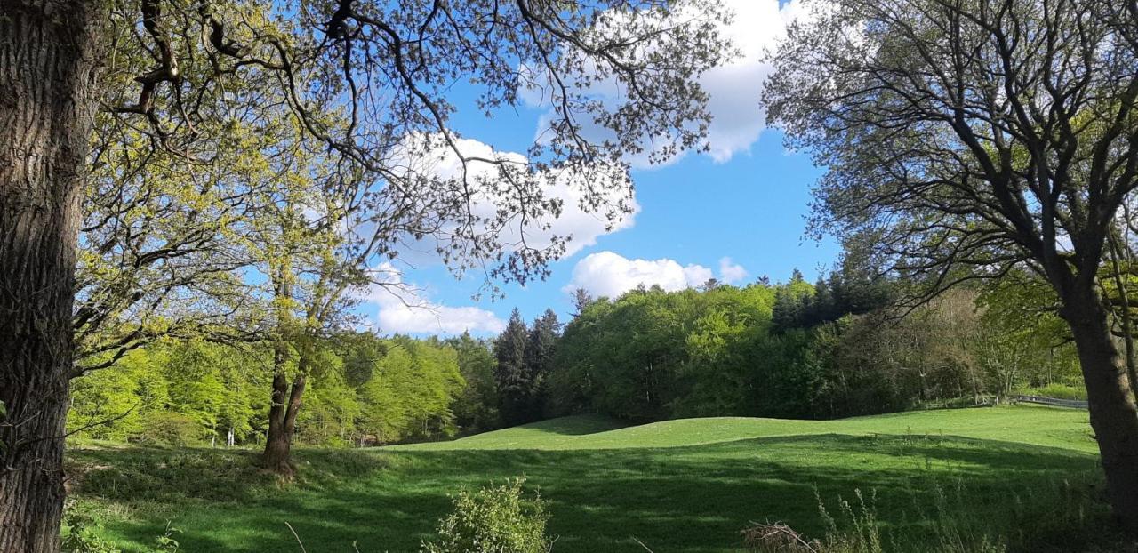 Ferienhaus Diedrichsen Brekendorf Dış mekan fotoğraf